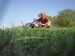 SAM_0663